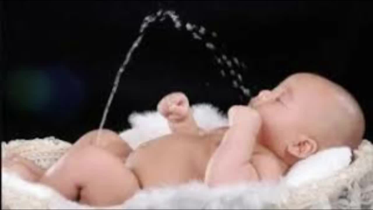 funny babies video