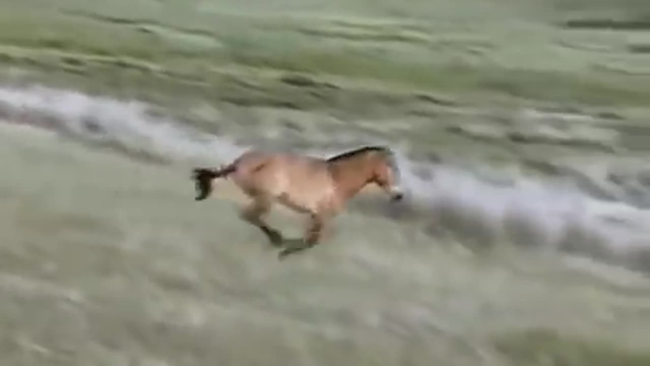 National Geography documentary