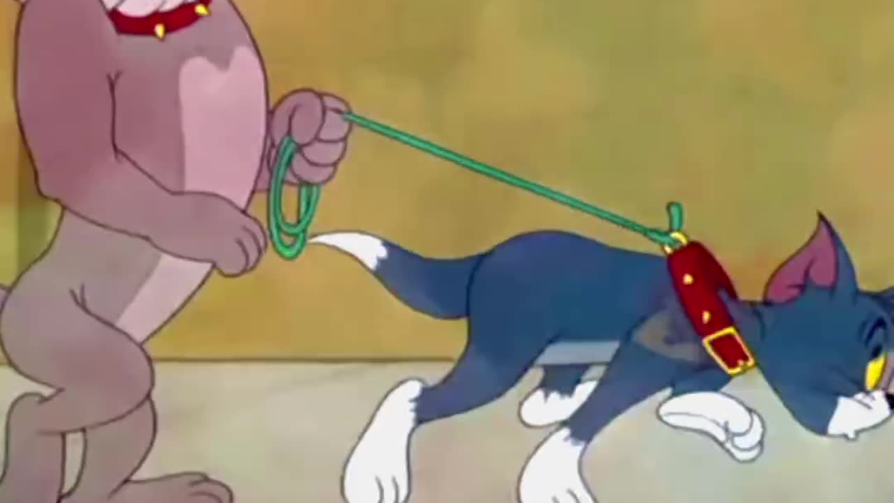 tom and jerry best cartoon video