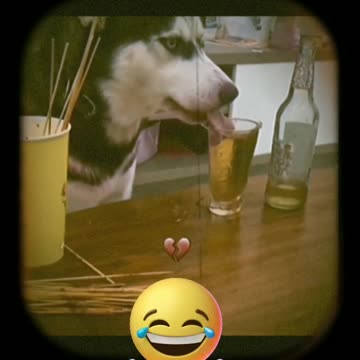 Power of 🍺 ( part -3 )