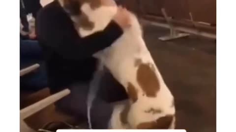 Dog cries of happiness after meeting his owner at airport 🥺❤️ Rate this cutie 1-10 🐶