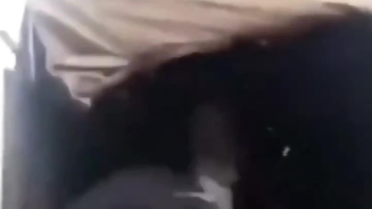 funny video funny memes comedy video funny fails funny video 2024