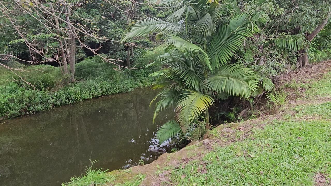 Cool river in Cairns, Australia