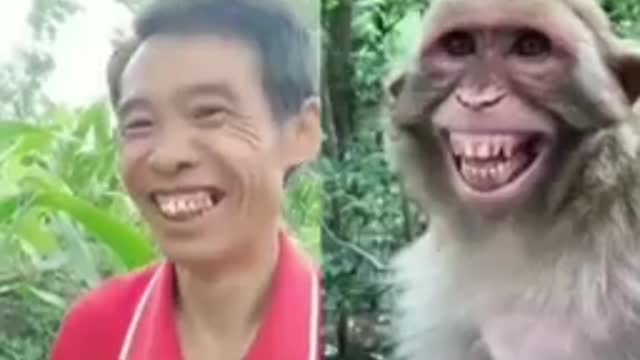 Funny video