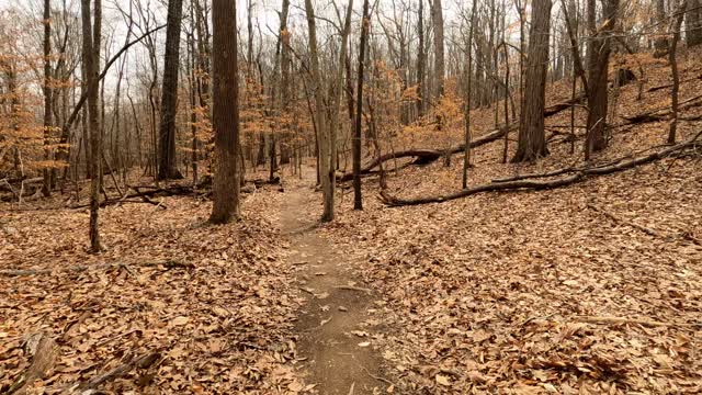 Hiking Liberty Mountain in Lynchburg Virginia Part 1, March 2022