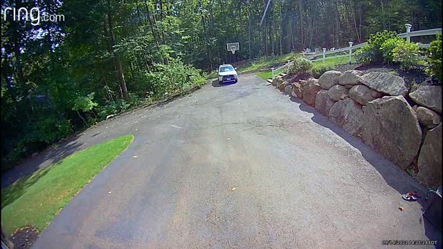 Black Bear Takes Trash From Garage