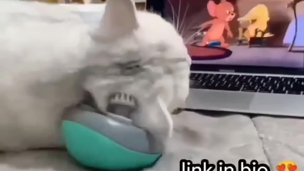 Video Tom and Jerry funny video