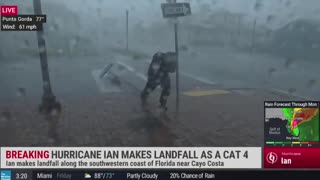 News Reporter Has Close Encounter With Flying Tree