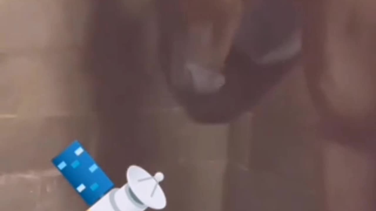 A horse launches a rat into space