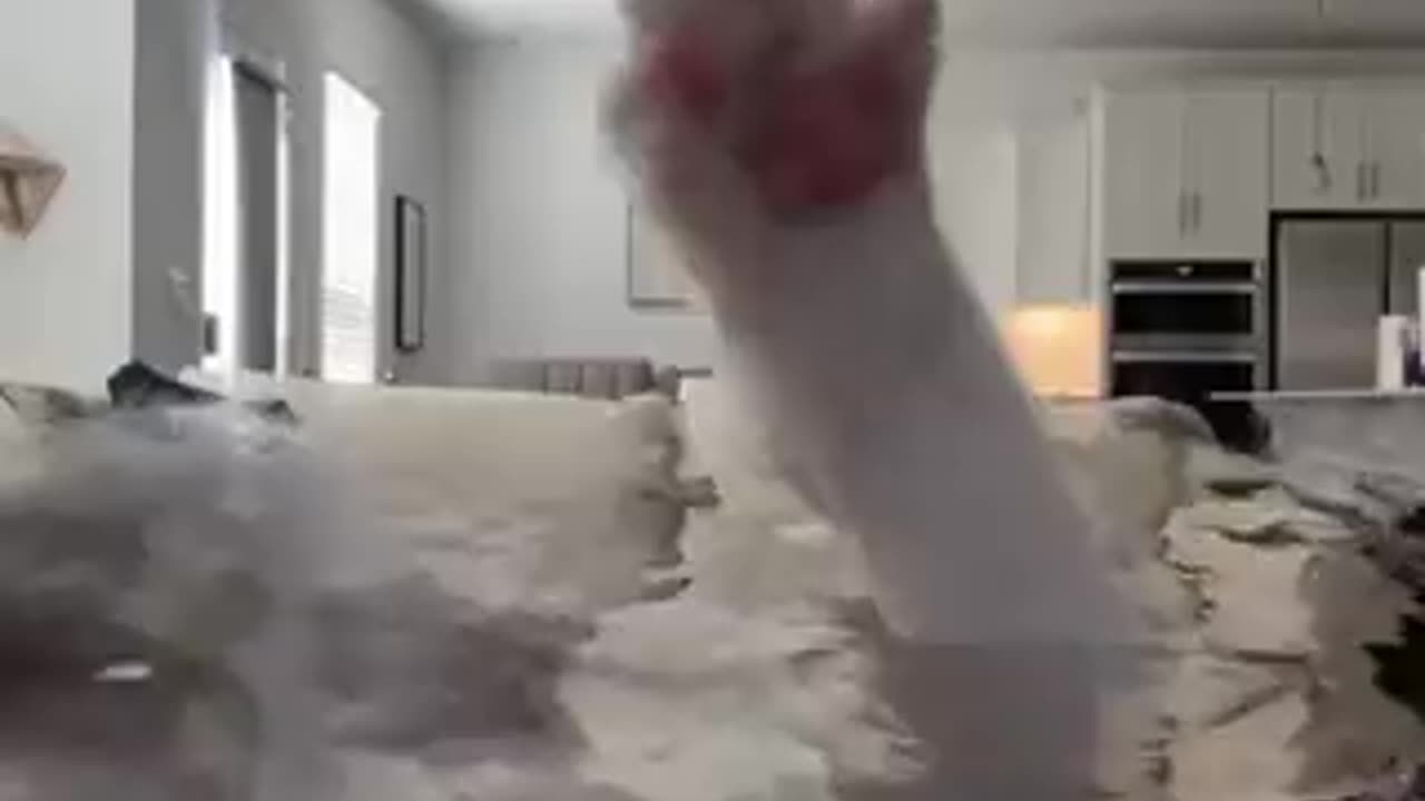 #cat ❣️🥰