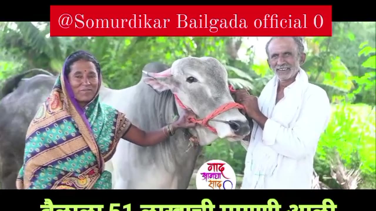 A demand of Rs. 51 lakhs came but the bull was not given