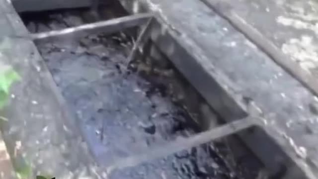 Algo de errado não está certo parte 1