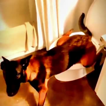 reason to smile because we already have to cry 5