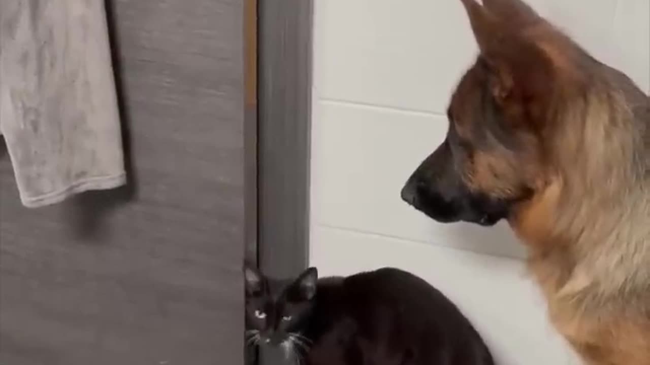 Let's bust out of here!