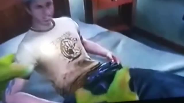 Shrek.mp4
