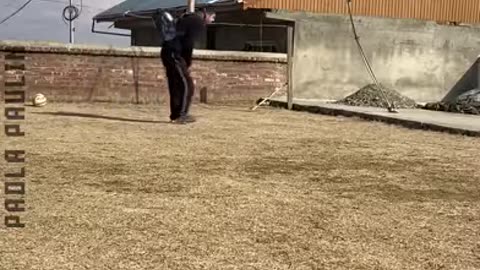 Skills To Pay The Bills