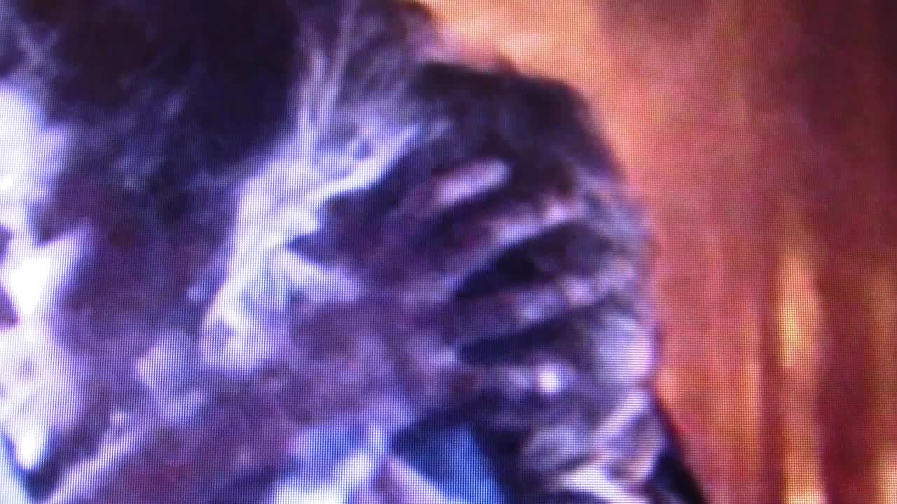 143. REPTILIAN ALIENS IN ALIENS VOL 11