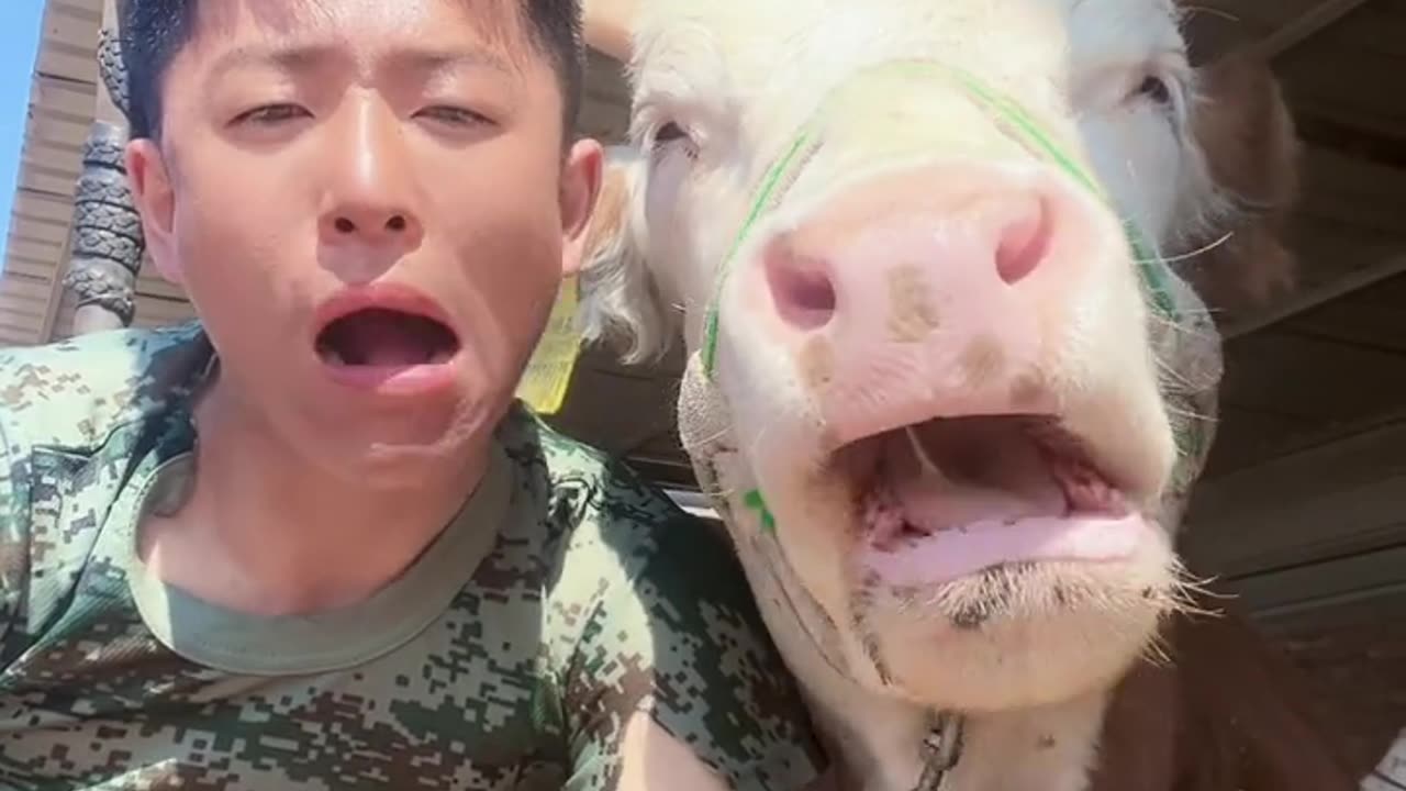 ðŸ¤ðŸ¤ðŸ¤ðŸ¤ funny clip 😂😂 follow me 🌹🌹