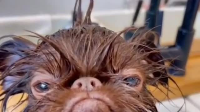 When he is going out and the rain ruins his hairstyle and the walk