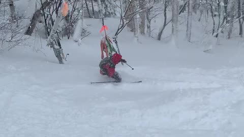 Stein Powder Day