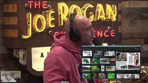 The new billion dollar crop