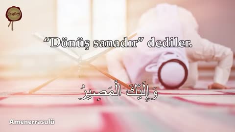 7 Fatihah 7 Ayatul Kursi 7 Amanarrasulu 7 Kafirun 7 Ikhlas 7 Falaq 7 Nas Ruqyah Shamil Gadzhiev