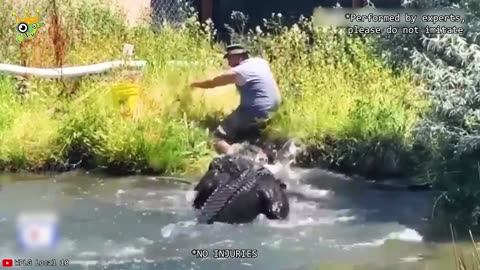 Animals got crazy