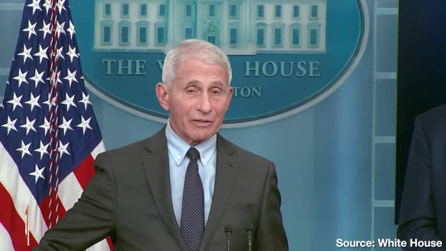 Anthony Fauci Urges Americans to Get Tested Before Thanksgiving: "Everybody Should Be Vaccinated"