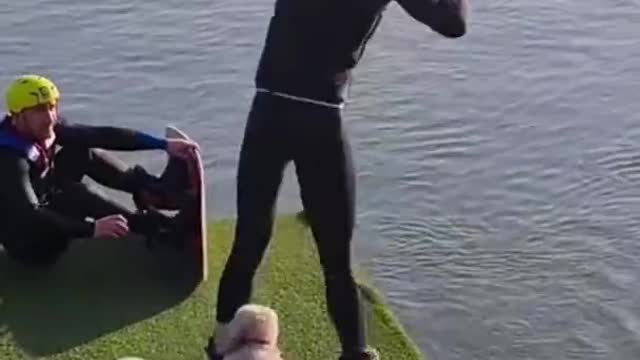 yt1s.com - Funny Animals fails Shorts