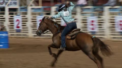 Racing Horse In Rodeo