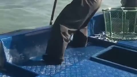 Amazing Salt water Eels Fishing