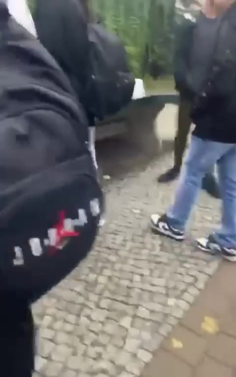 Student attacked for waving Palestinian flag in Berlin, Germany