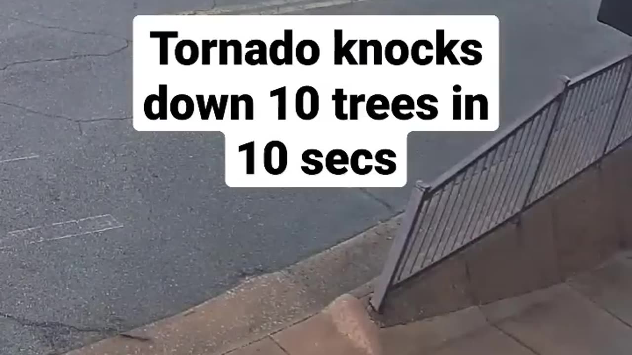 Tornado knocks trees in 10sec