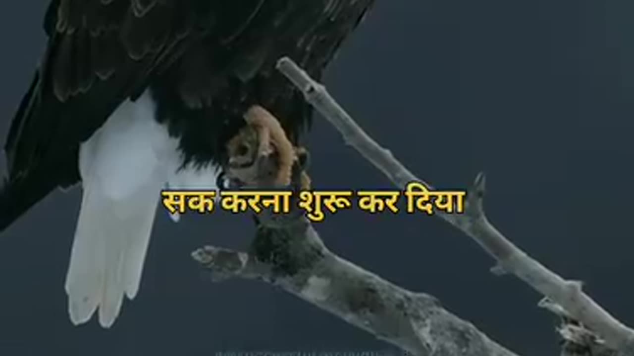 Motivation