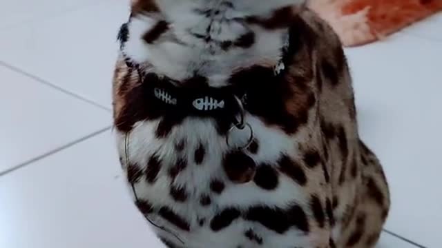 make your baby feel at home