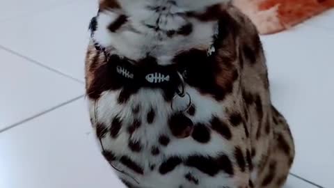 make your baby feel at home