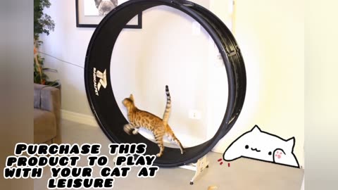 Diameter 120cm cat running wheel pet treadmill exercise lose weight walking fitness silent toy dog ​​cat interactive toys products