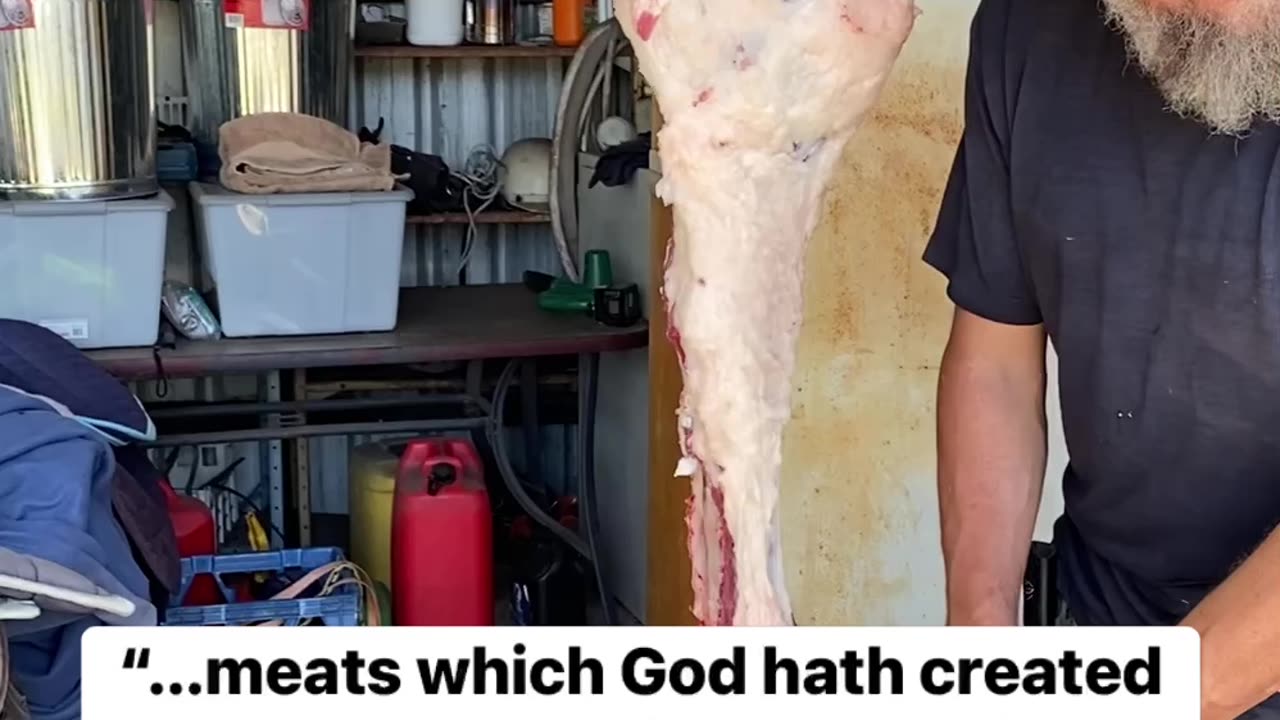 Meats Which God Hath Created to Be Received With Thanksgiving