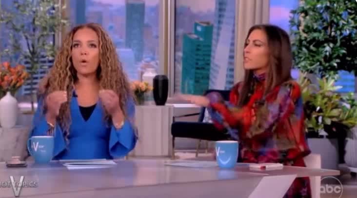 The View’s Sunny Hostin: White Suburban Women Voting Republican Are ‘Almost Like Roaches Voting for Raid’