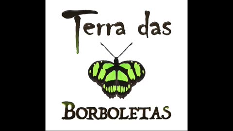 Importância das borboletas