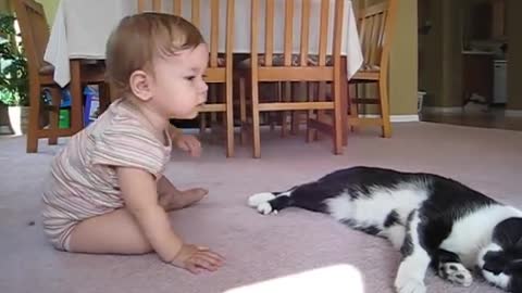 Child proof cat