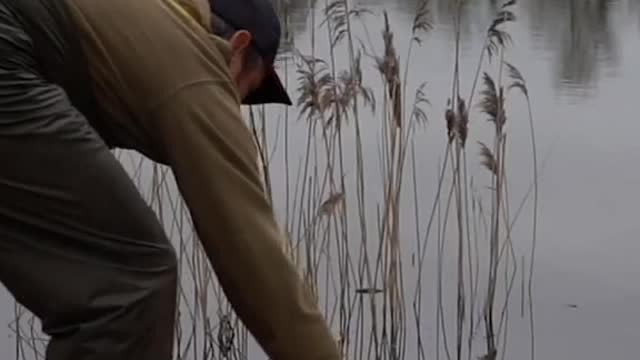 Phil out targeting them autumn roach