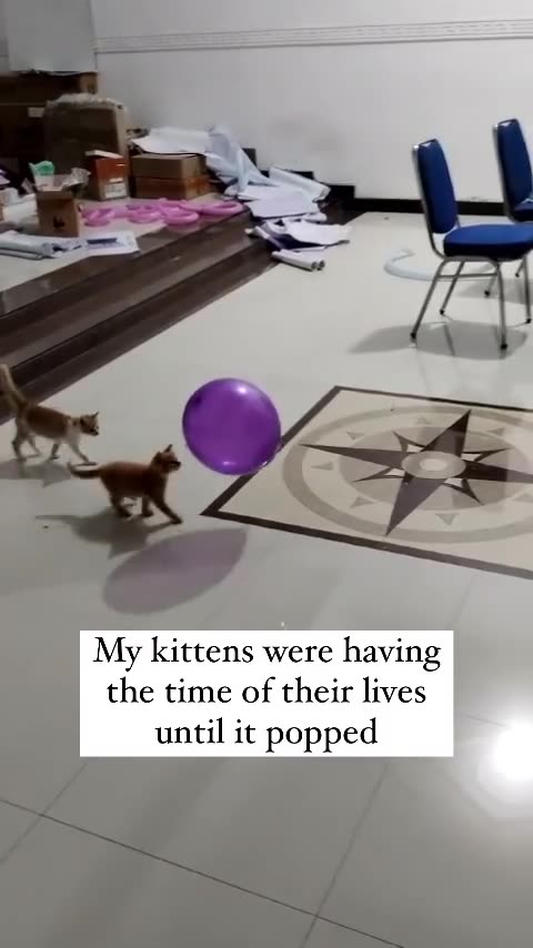 "Unveiling the Mystery: The Astonishing Origins of the Airborne Pop"