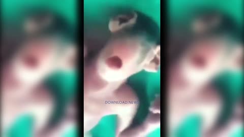 New World Order Creating Human Animal Hybrids