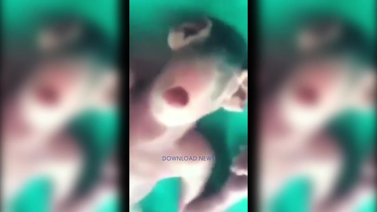 New World Order Creating Human Animal Hybrids