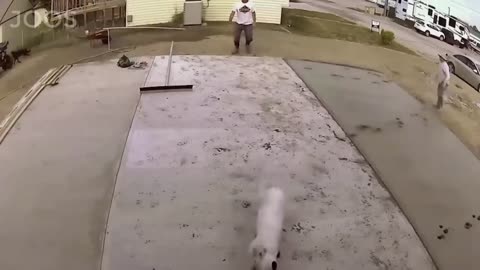 funny moments of the week