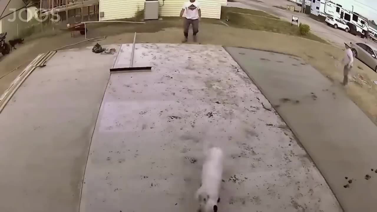 funny moments of the week