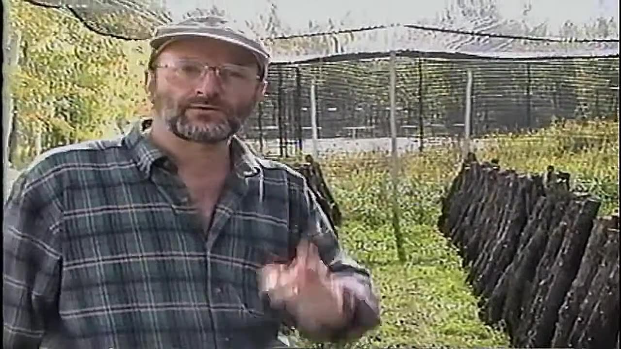 FUN GUY MUSHROOM FARMER