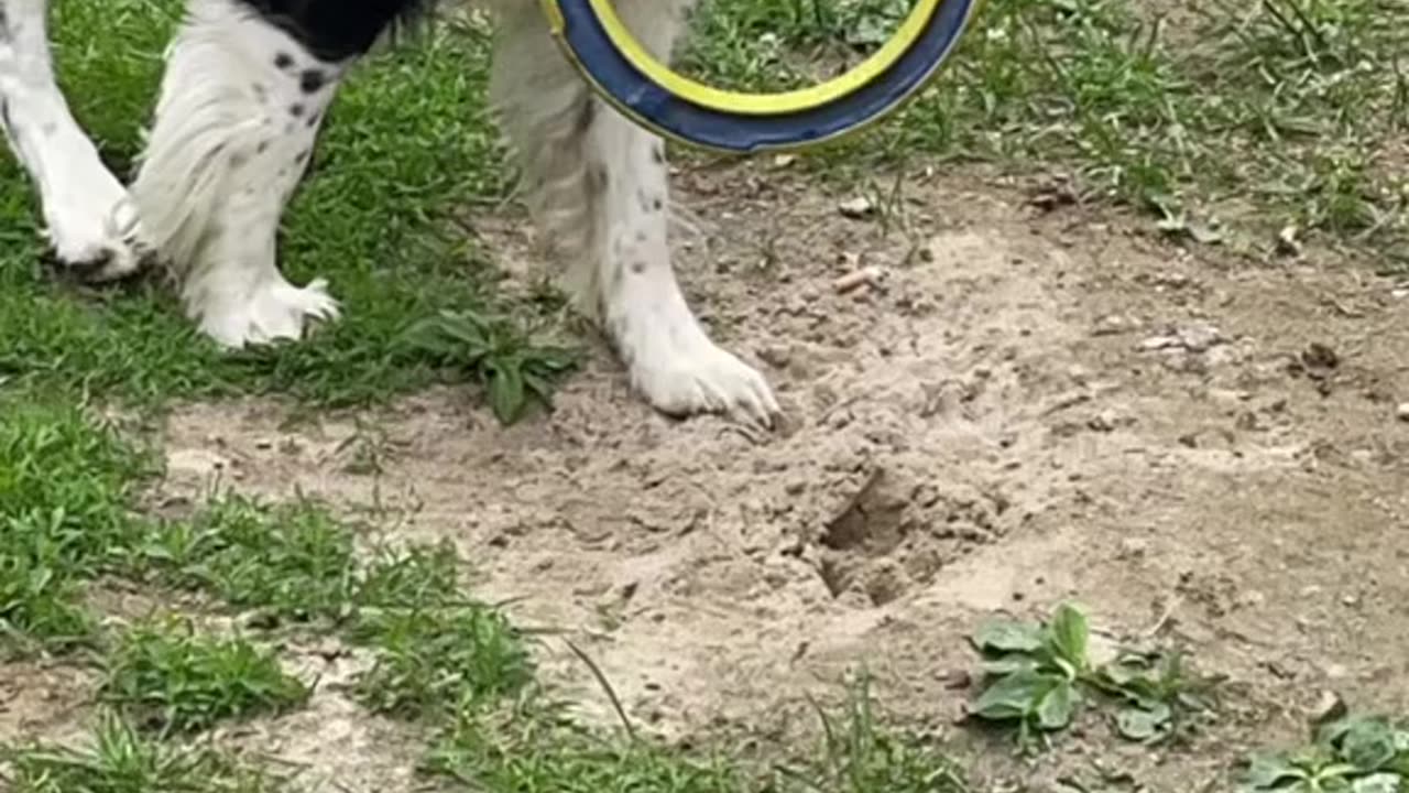 Hes been with me my whole life.
