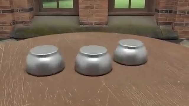 Test of eyesight, did you guess which bowl the green ball was in?